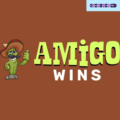 Amigo Wins Casino